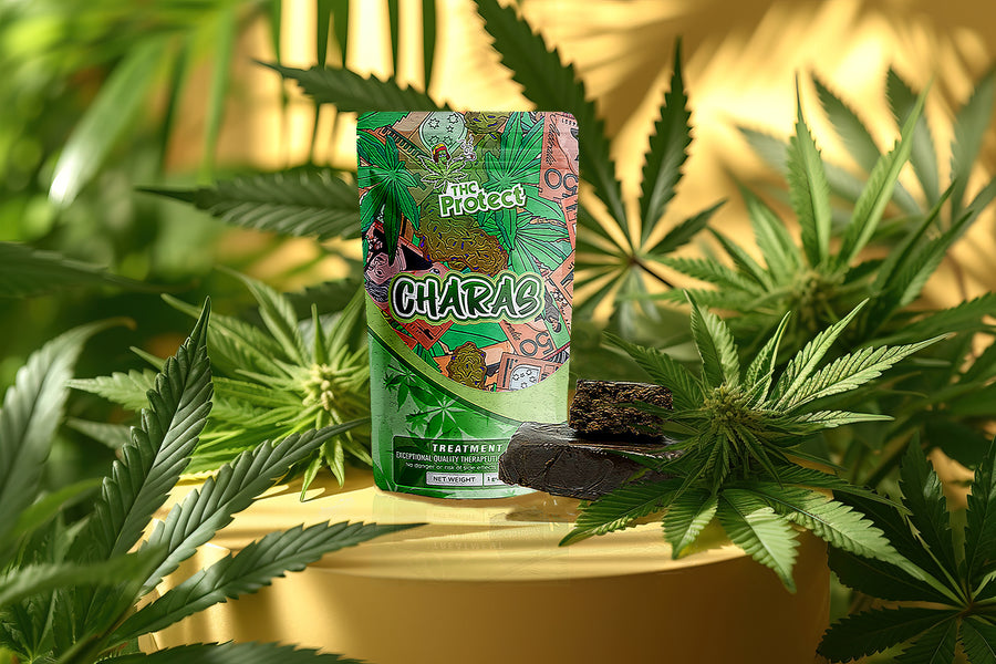 Scopri Charas: un concentrato esclusivo di cannabis