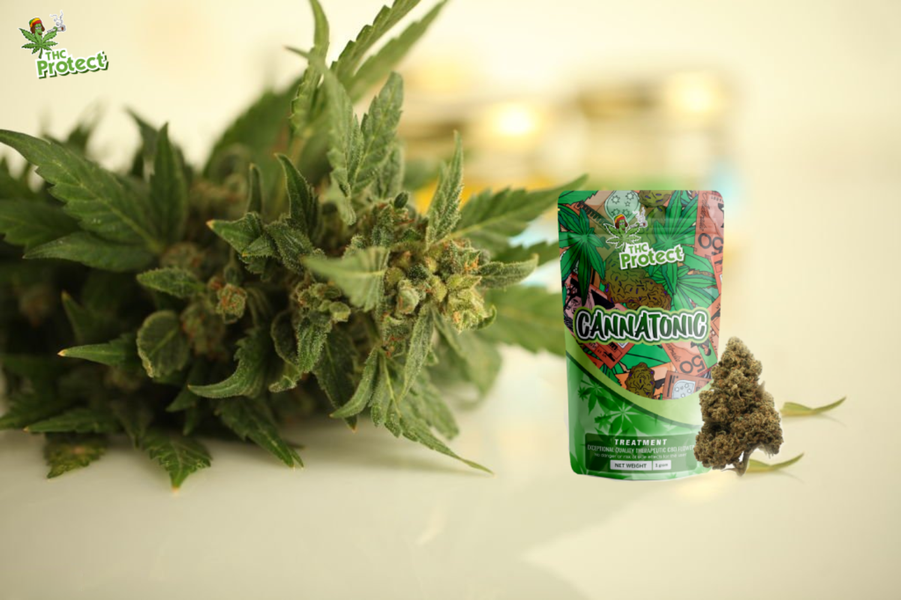 I benefici dei fiori Cannatonic CBD per la salute e il benessere